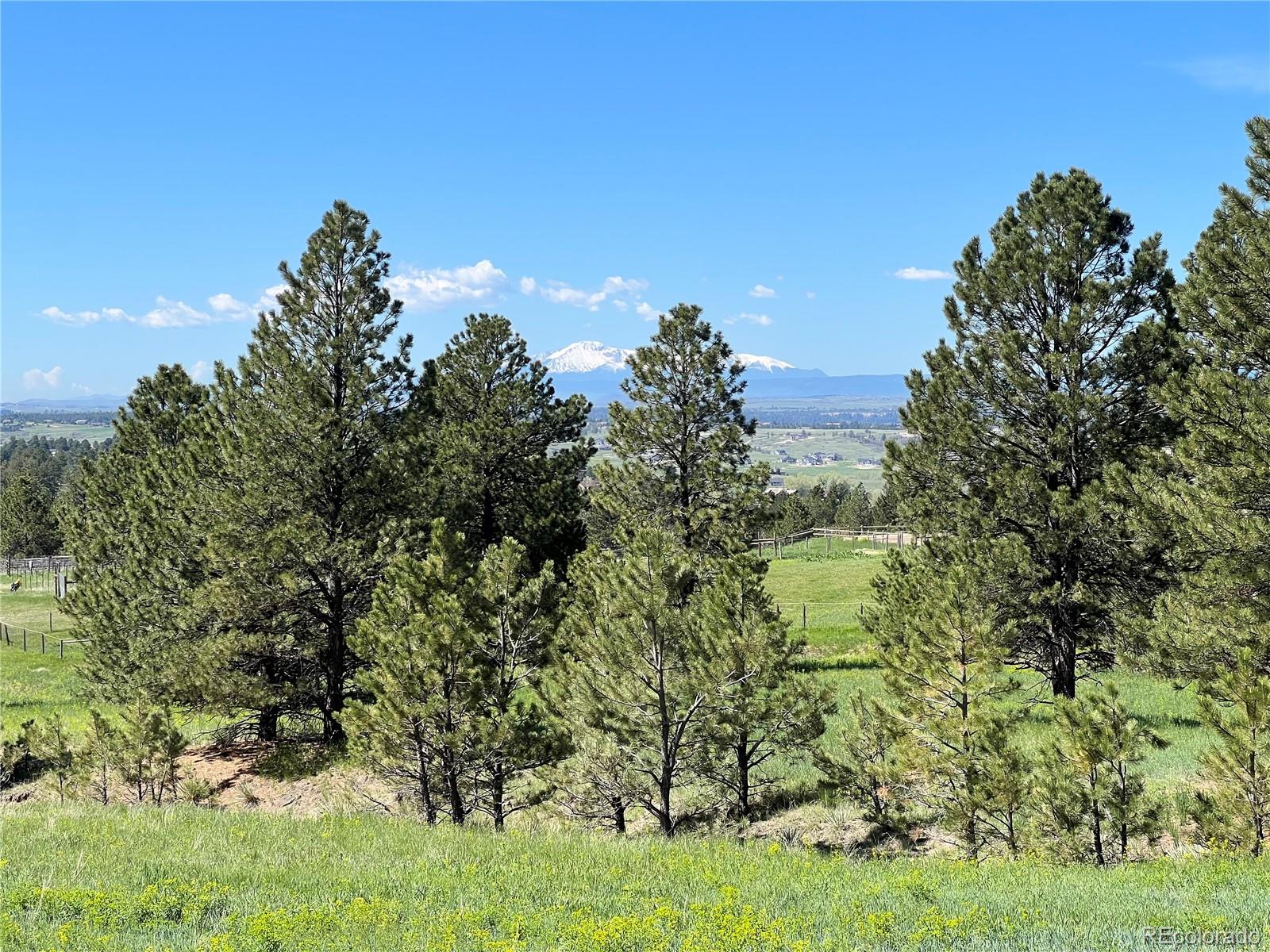 10290 Democrat Road Parker CO 80134