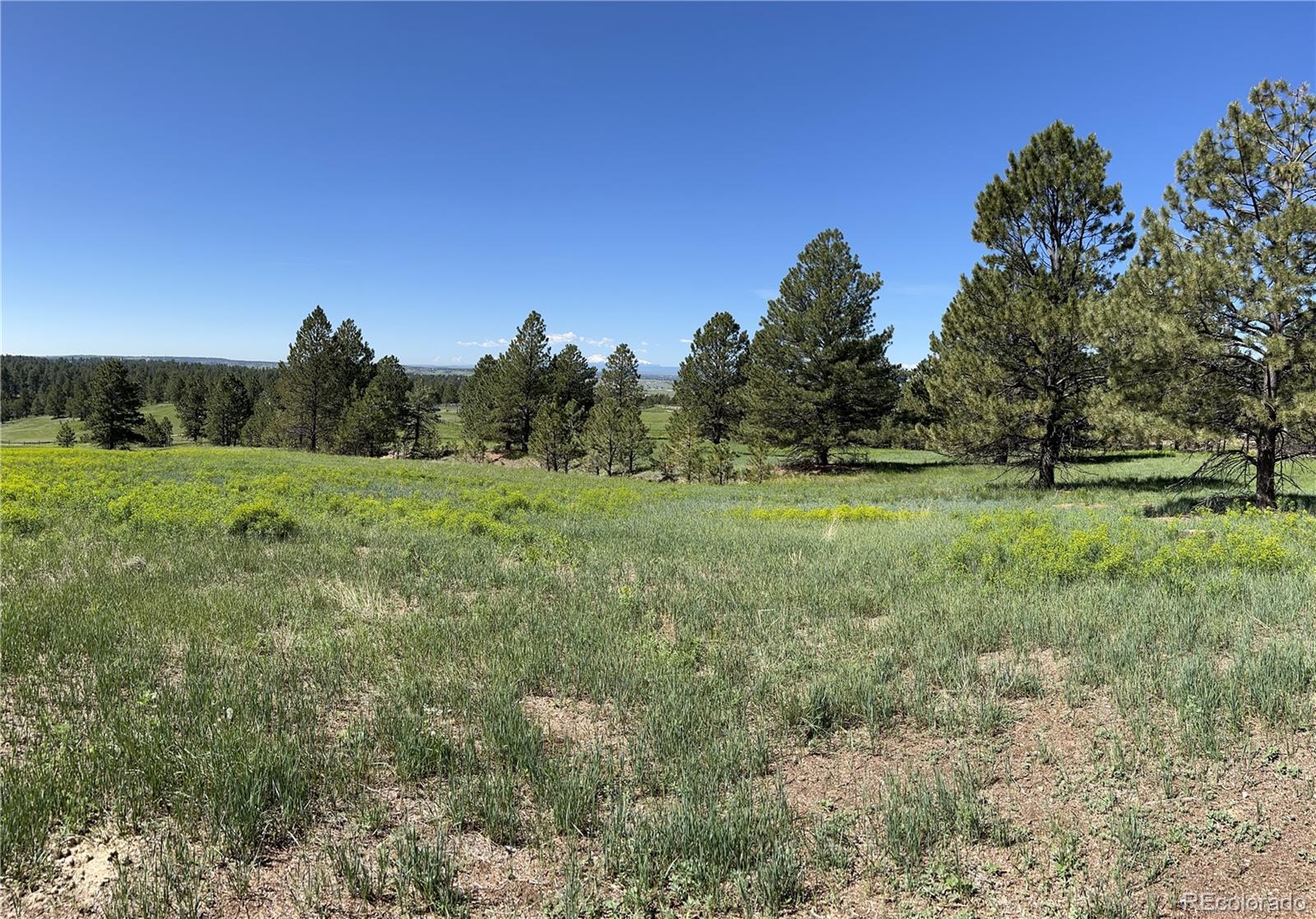 10290 Democrat Road Parker CO 80134