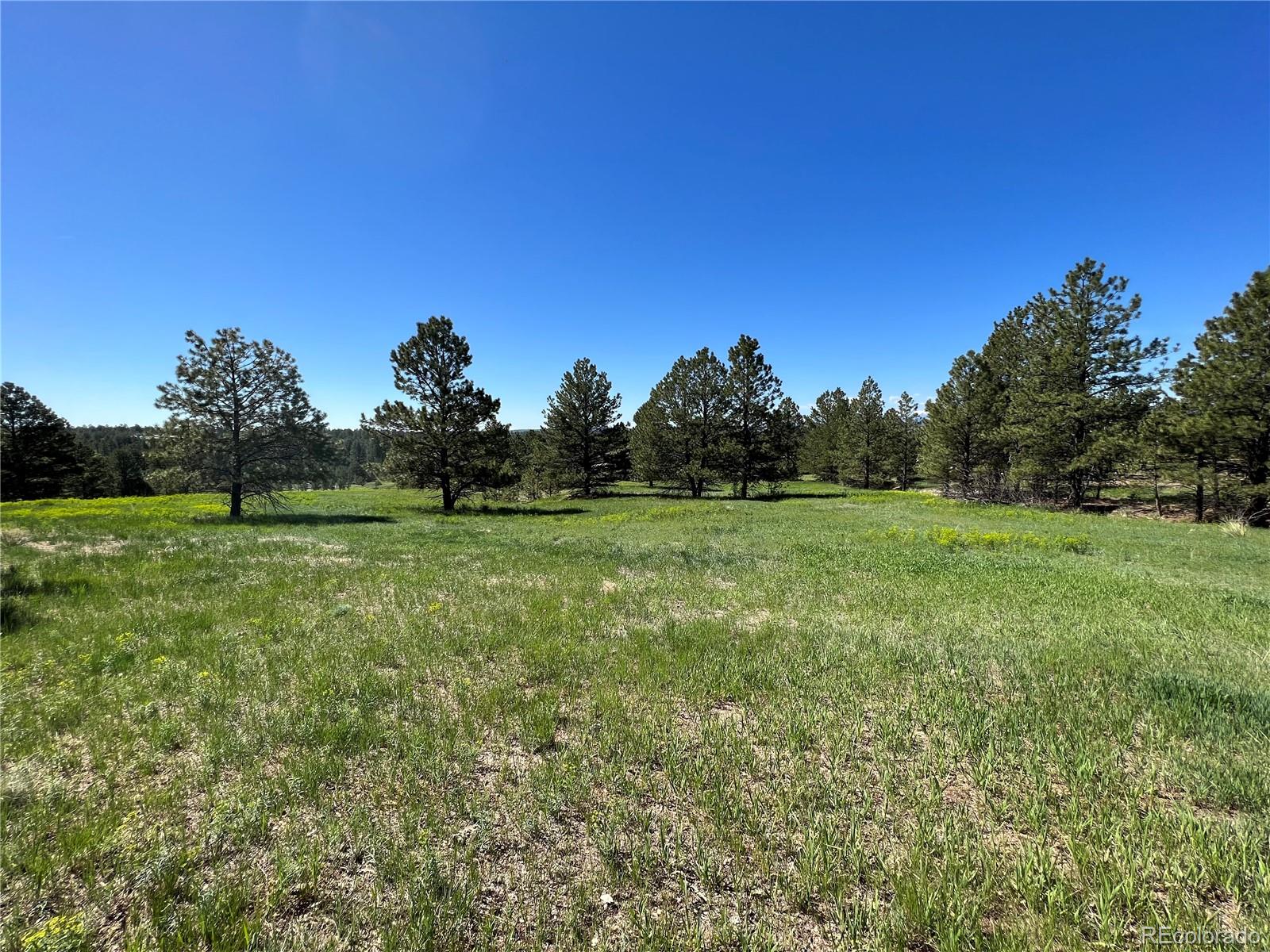 10290 Democrat Road Parker CO 80134
