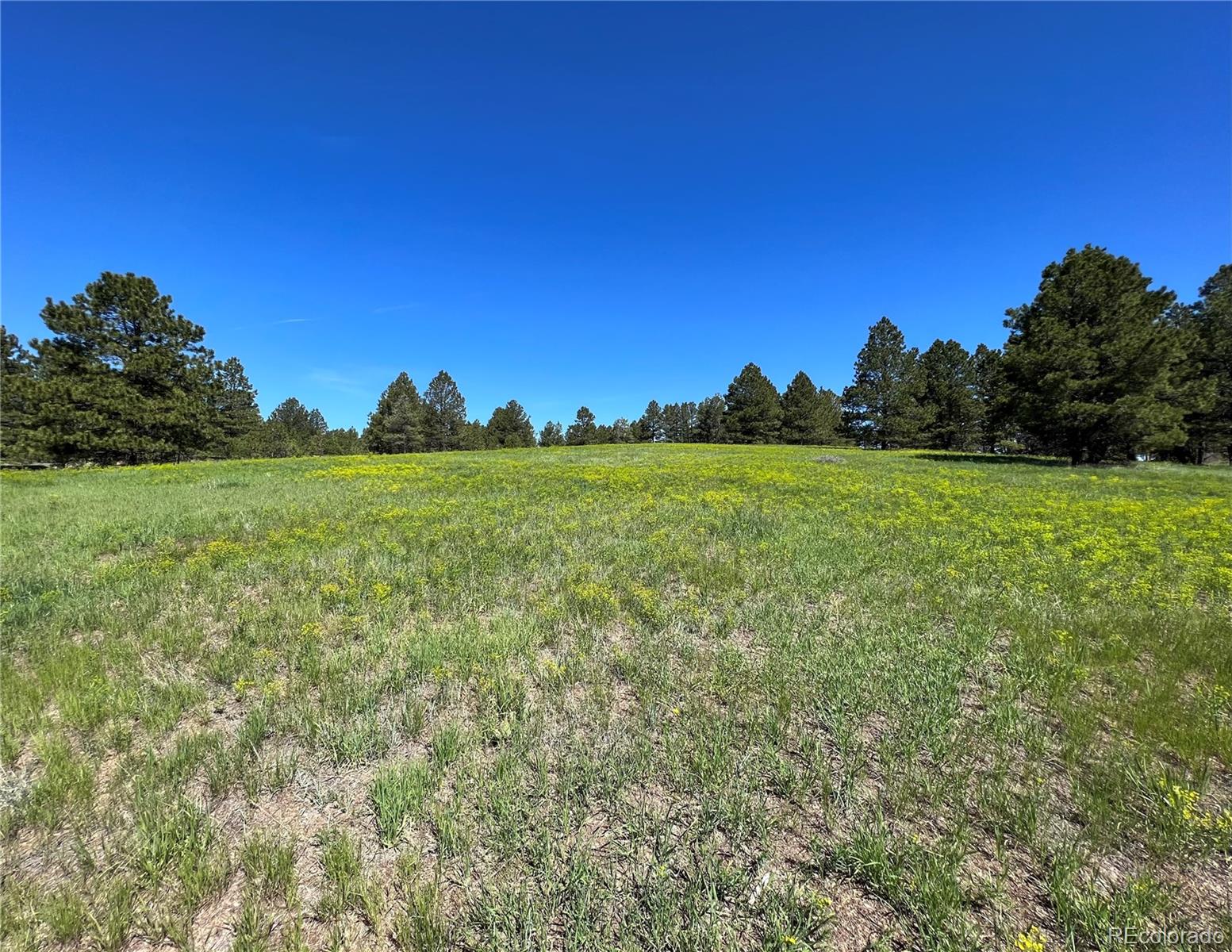 10290 Democrat Road Parker CO 80134