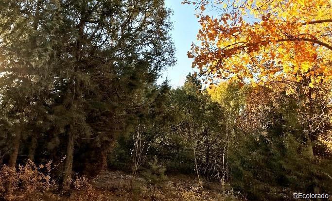 233 Lake Of The Falls Parkway Mosca CO 81146