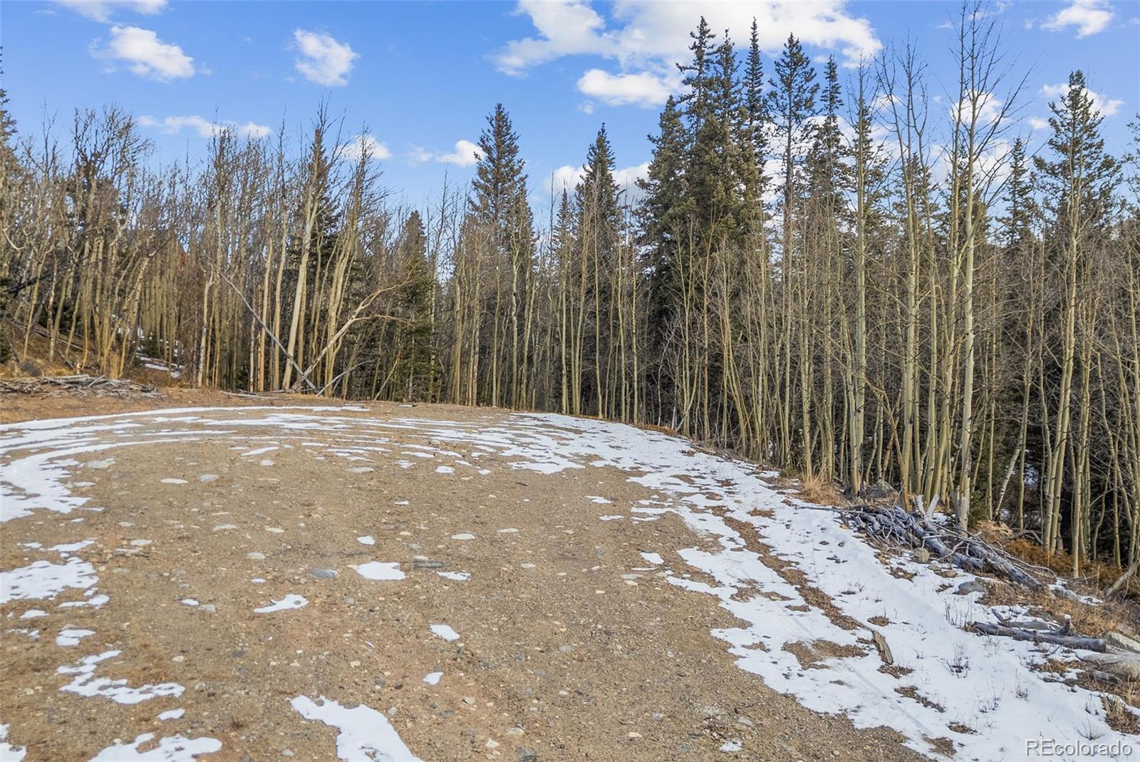 131 Aspen Street Alma CO 80420