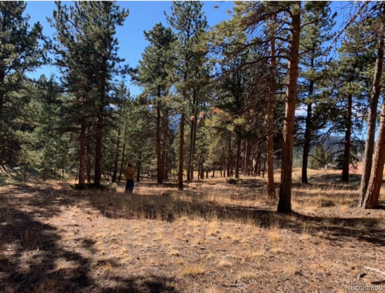 271 Thunder Ridge Woodland Park CO 80863