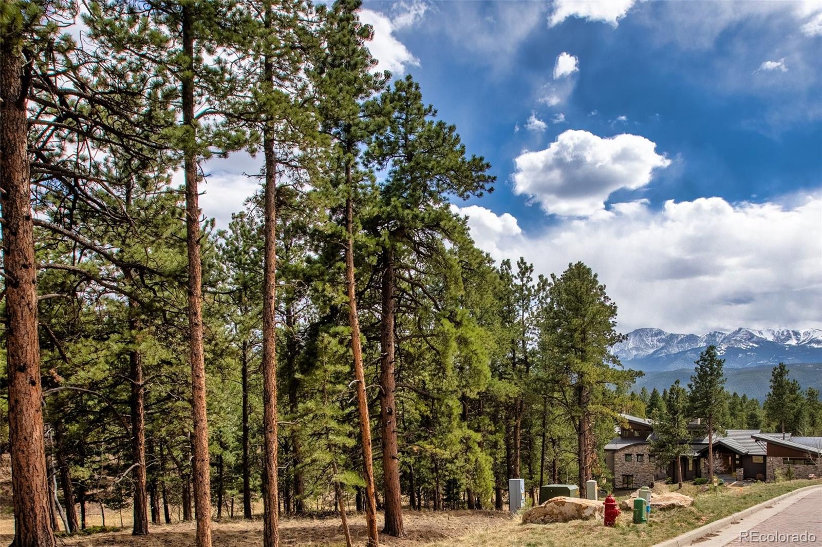 271 Thunder Ridge Woodland Park CO 80863