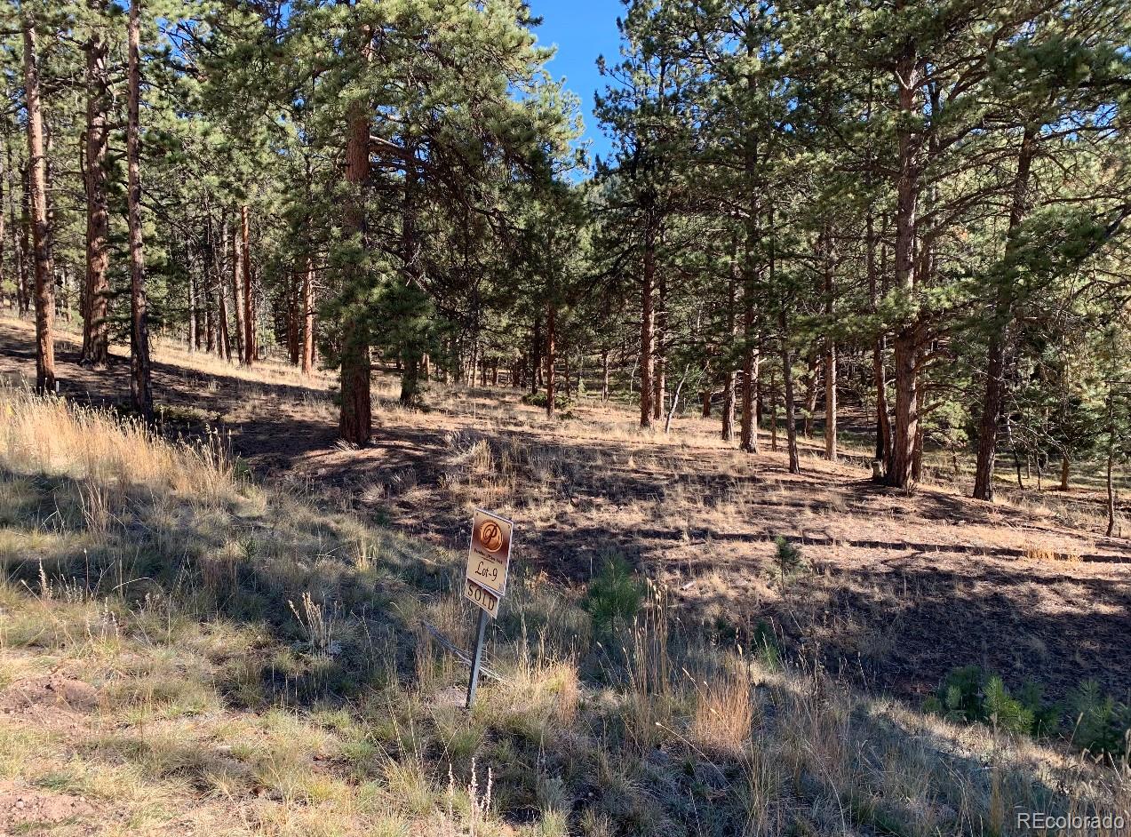 271 Thunder Ridge Woodland Park CO 80863