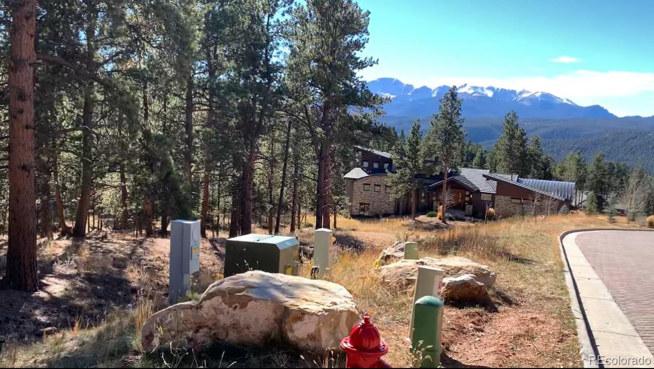 271 Thunder Ridge Woodland Park CO 80863