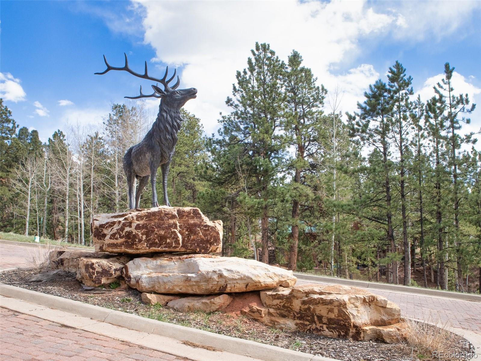 271 Thunder Ridge Woodland Park CO 80863