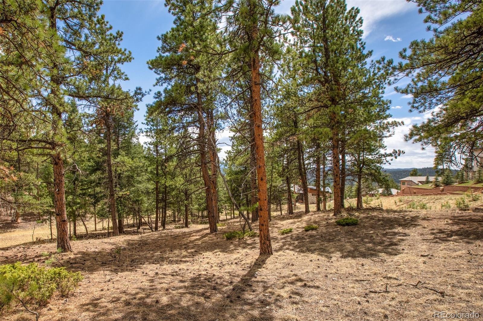 271 Thunder Ridge Woodland Park CO 80863