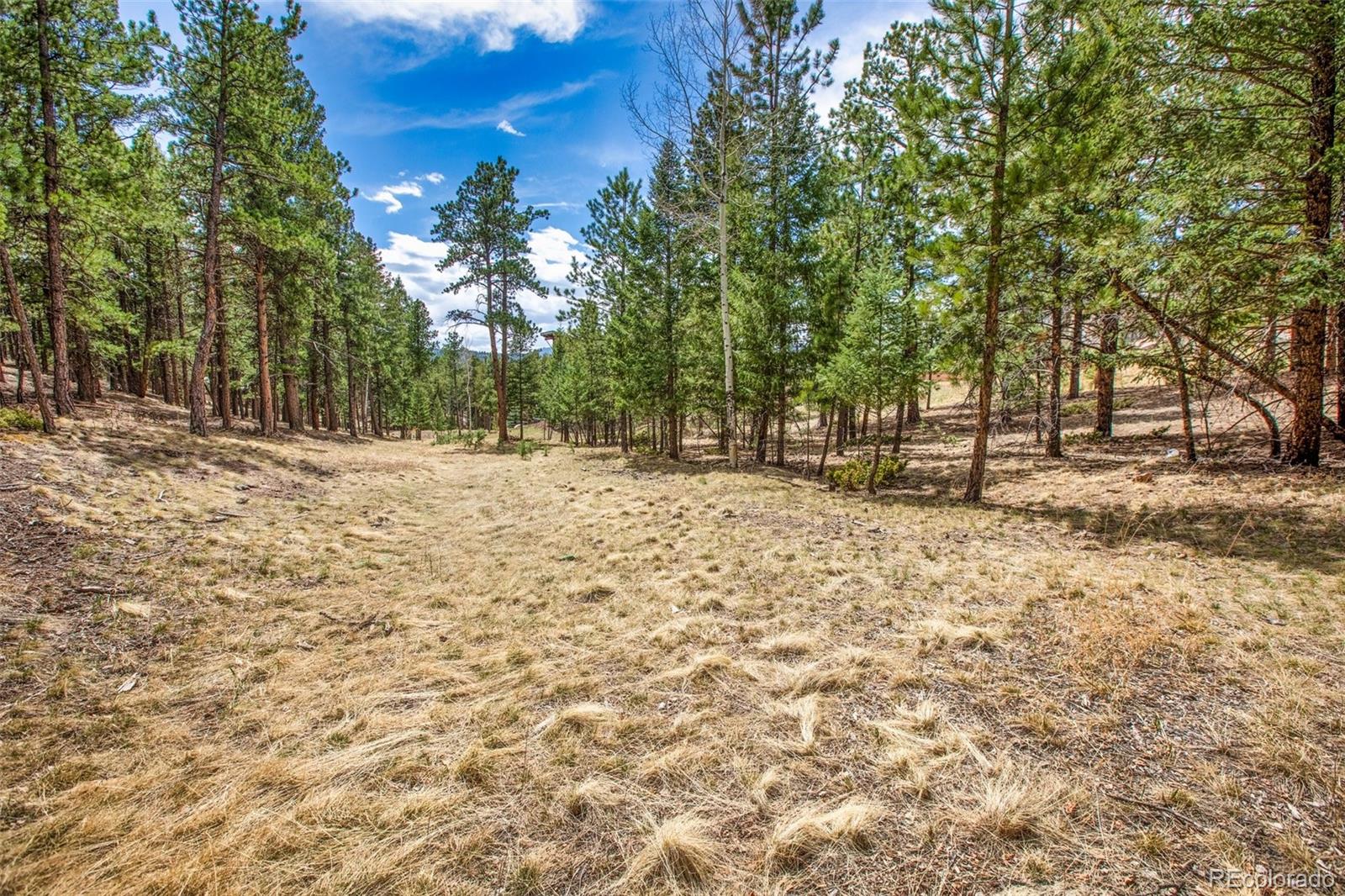 271 Thunder Ridge Woodland Park CO 80863