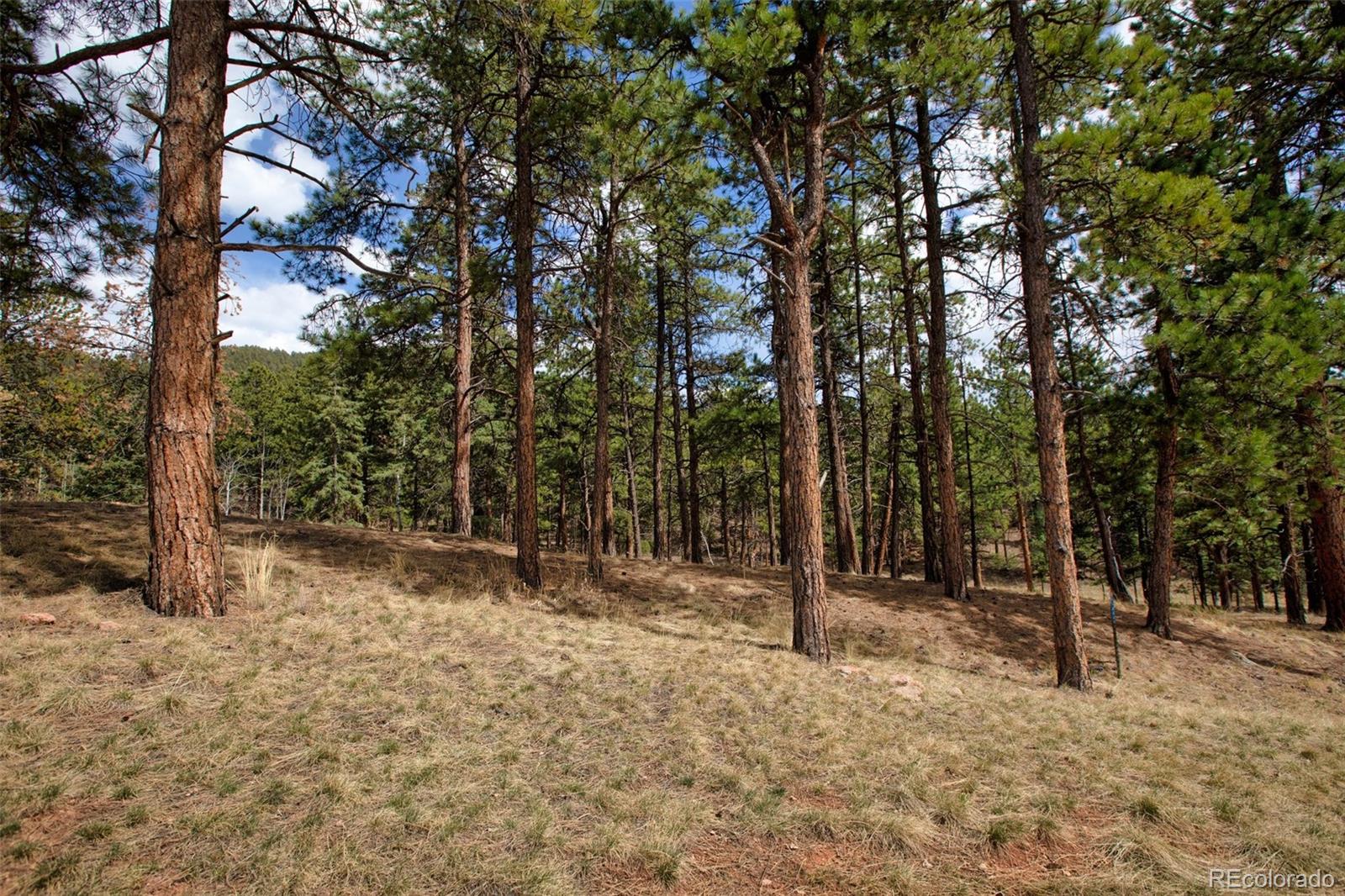 271 Thunder Ridge Woodland Park CO 80863