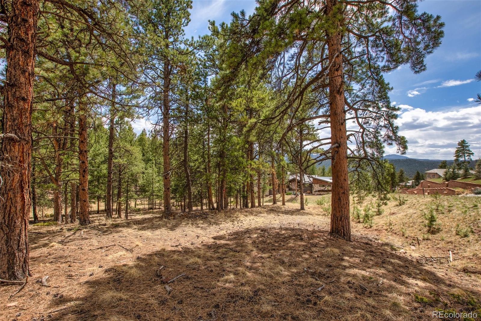 271 Thunder Ridge Woodland Park CO 80863