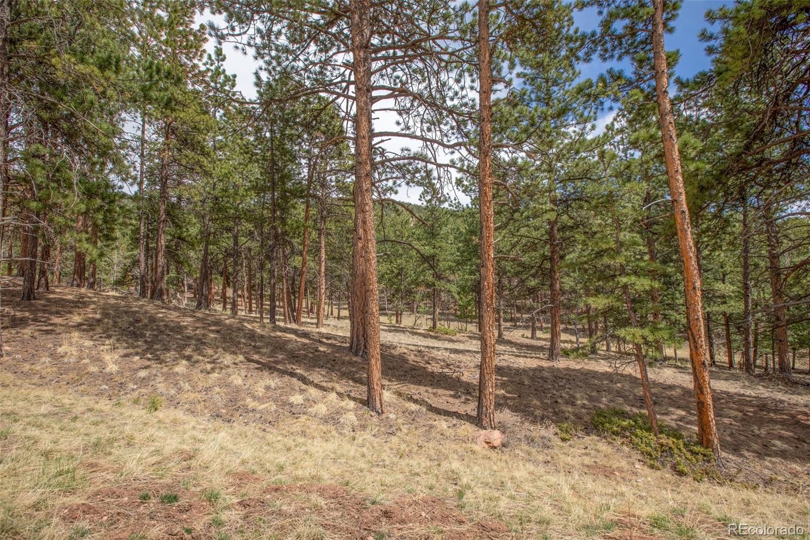 271 Thunder Ridge Woodland Park CO 80863