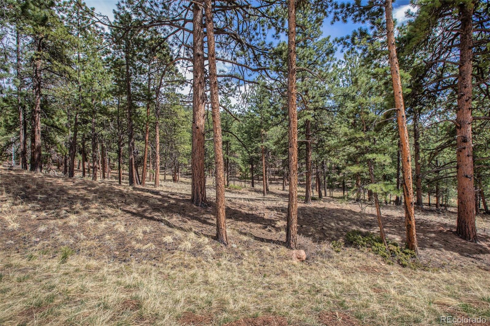 271 Thunder Ridge Woodland Park CO 80863