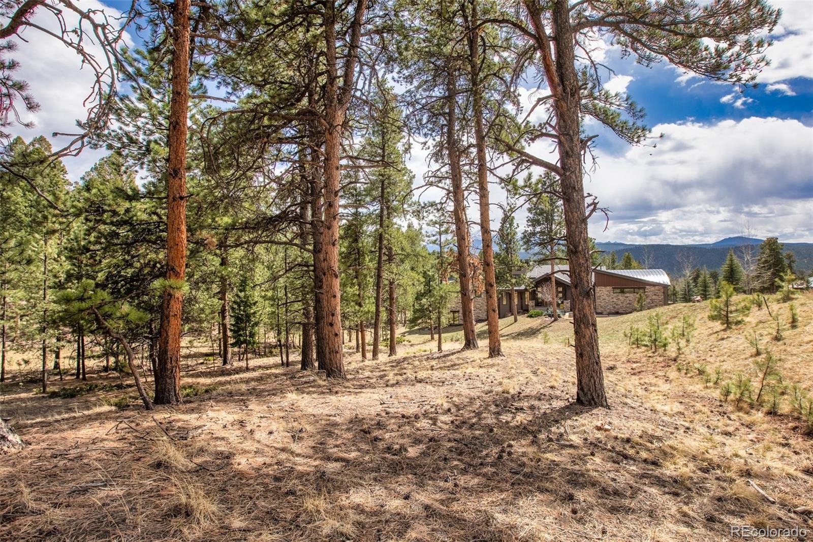 271 Thunder Ridge Woodland Park CO 80863