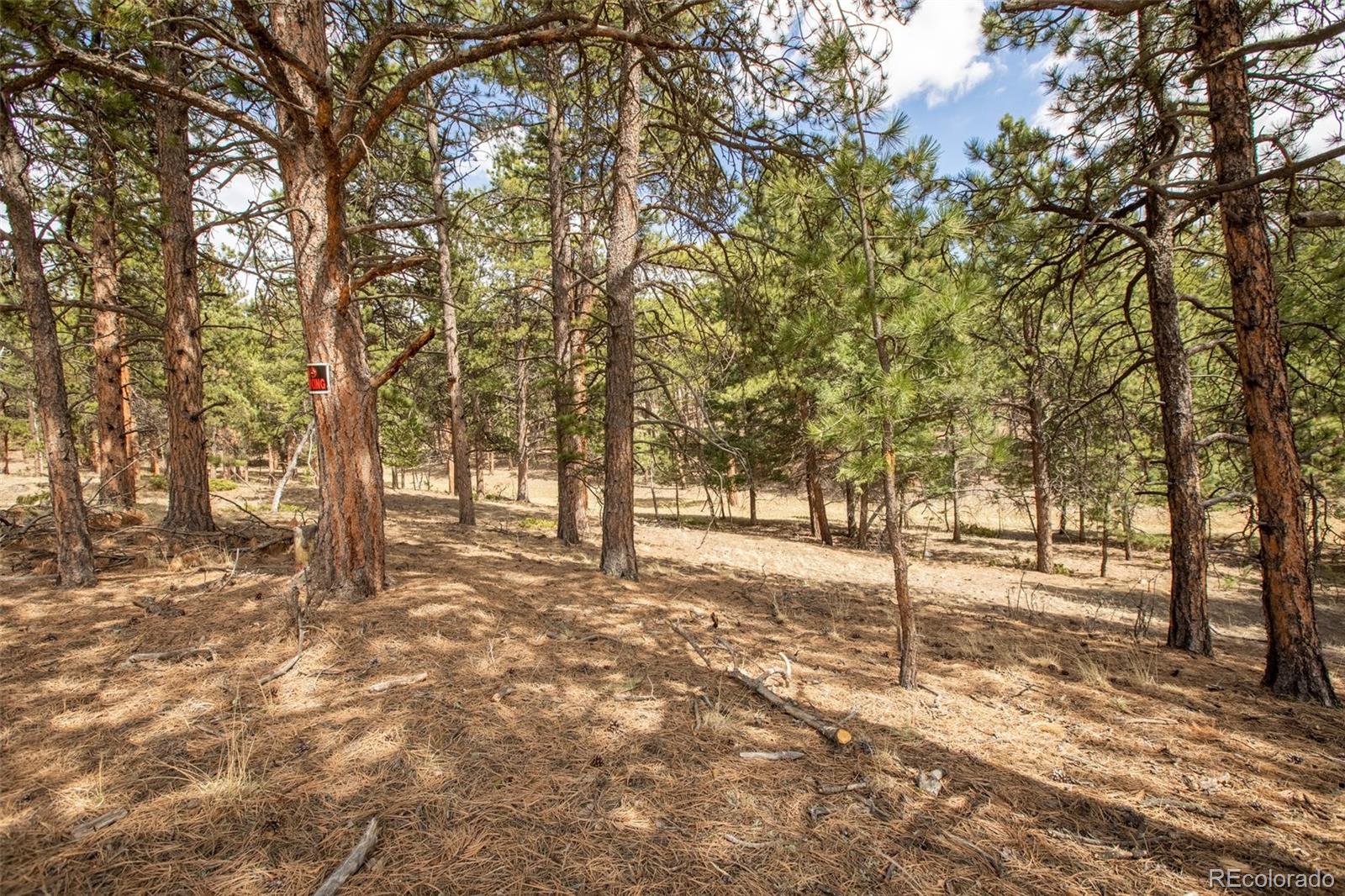 271 Thunder Ridge Woodland Park CO 80863