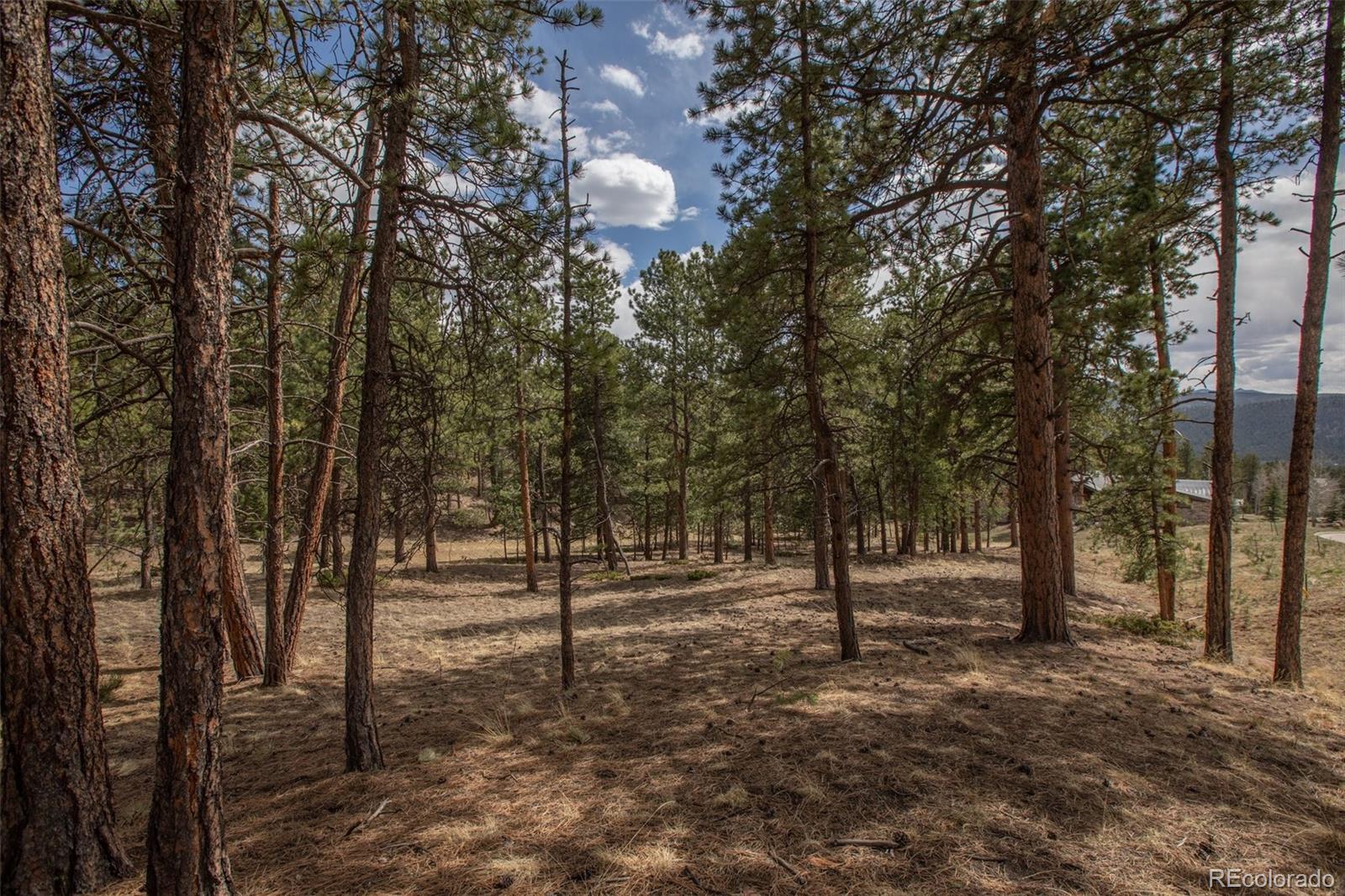 271 Thunder Ridge Woodland Park CO 80863