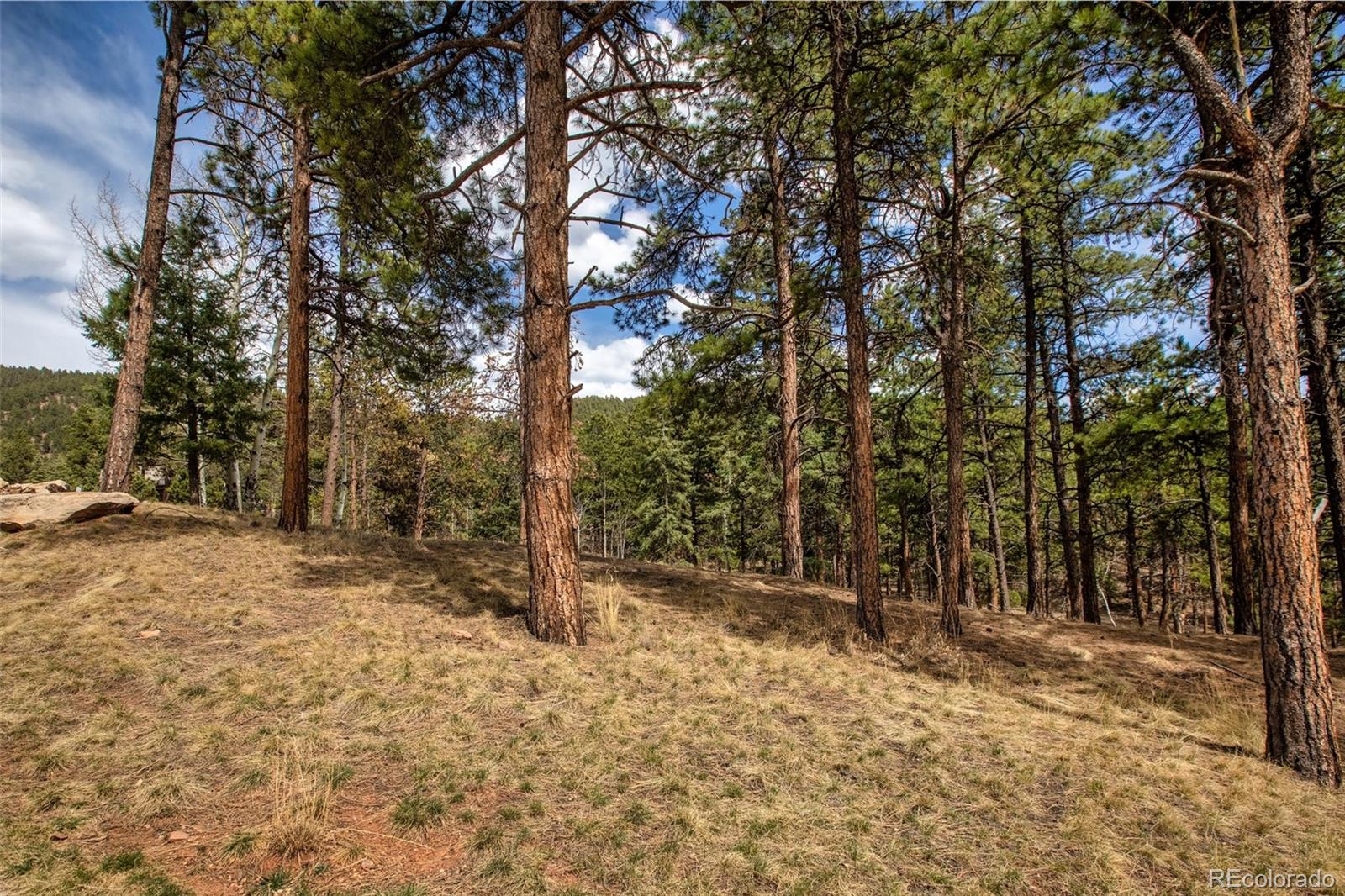 271 Thunder Ridge Woodland Park CO 80863