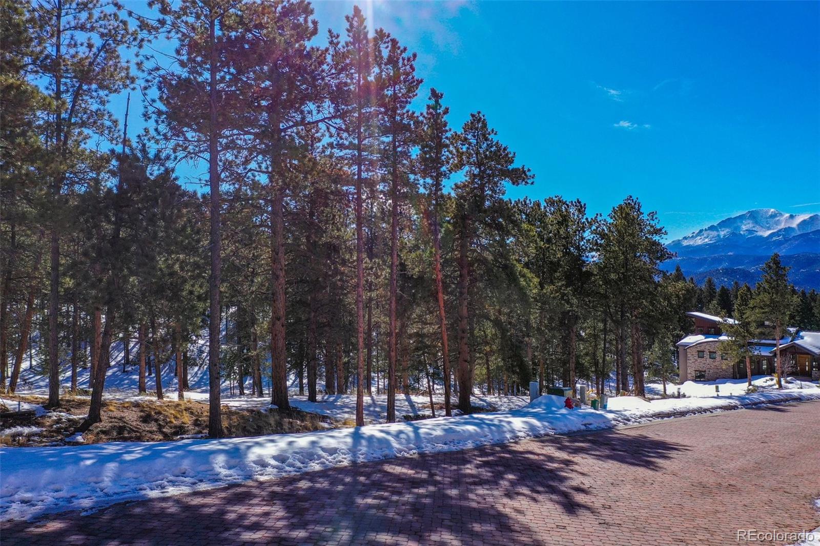 271 Thunder Ridge Woodland Park CO 80863