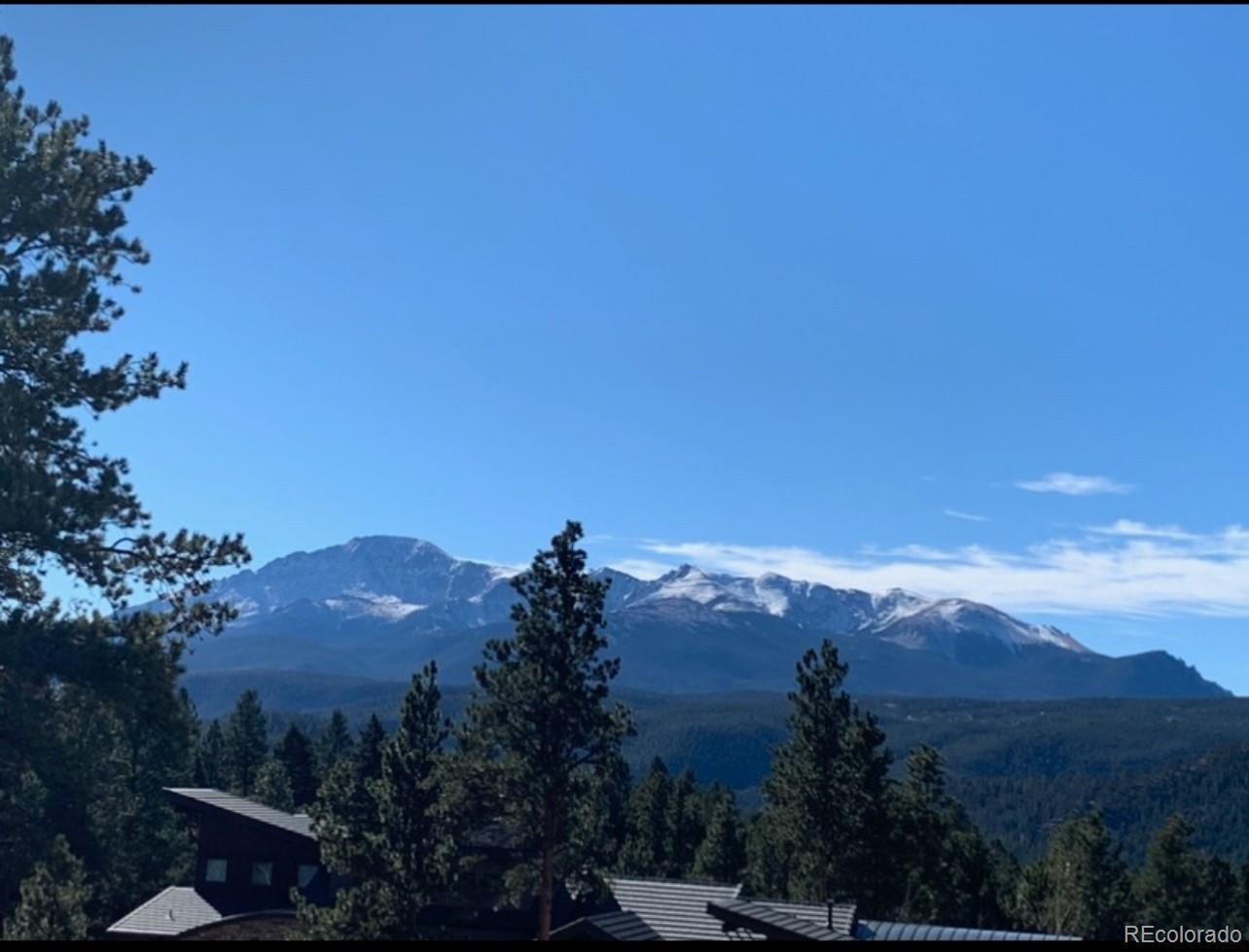 271 Thunder Ridge Woodland Park CO 80863