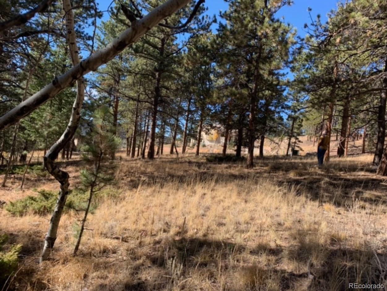 271 Thunder Ridge Woodland Park CO 80863