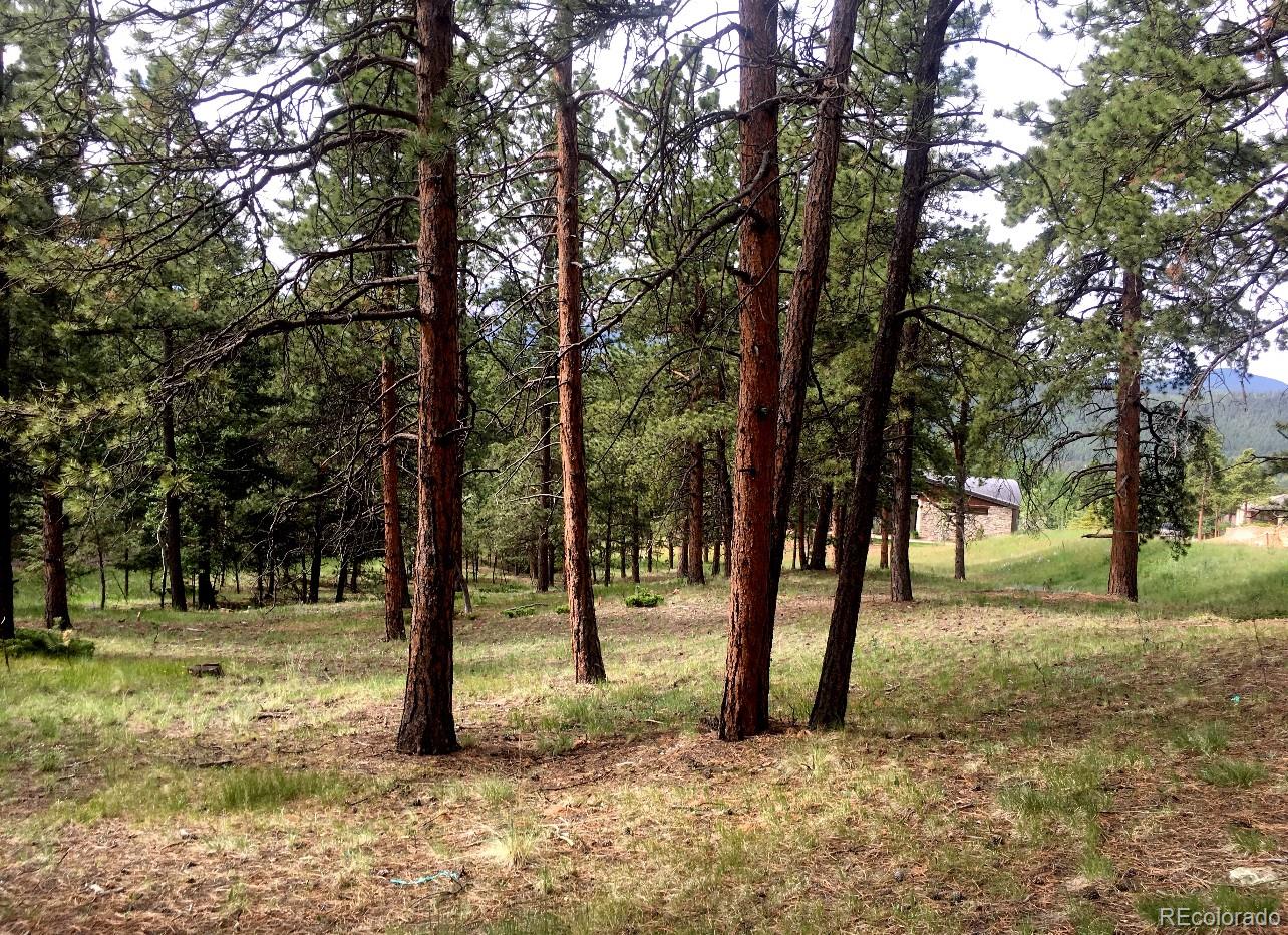 271 Thunder Ridge Woodland Park CO 80863
