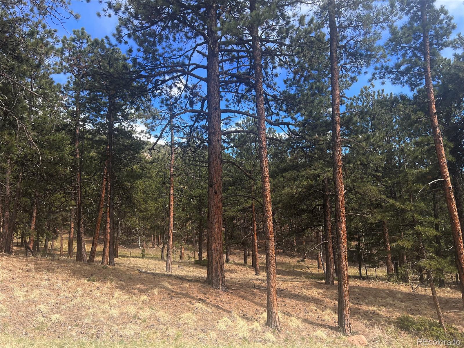 271 Thunder Ridge Woodland Park CO 80863