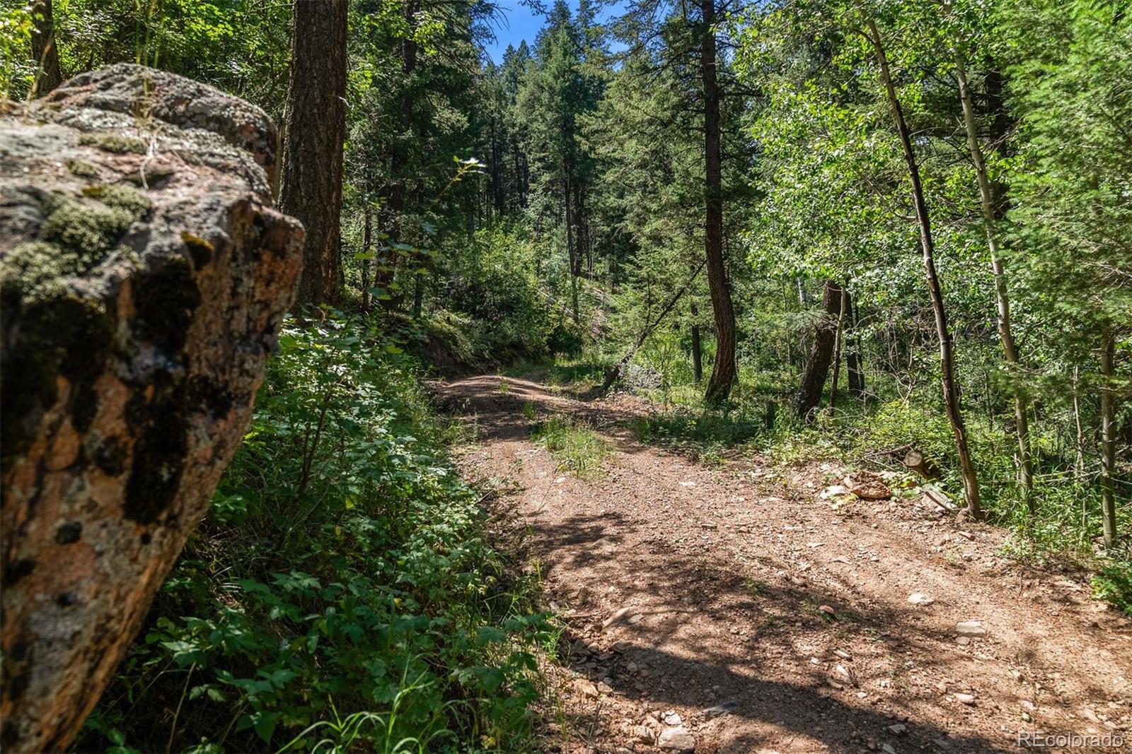 12954 Kuehster Road Littleton CO 80127