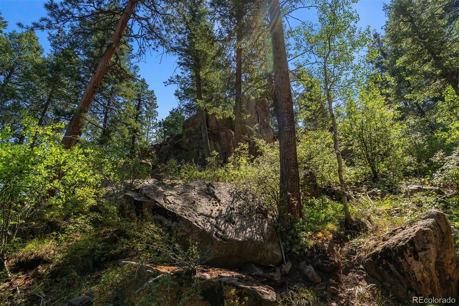 12954 Kuehster Road Littleton CO 80127