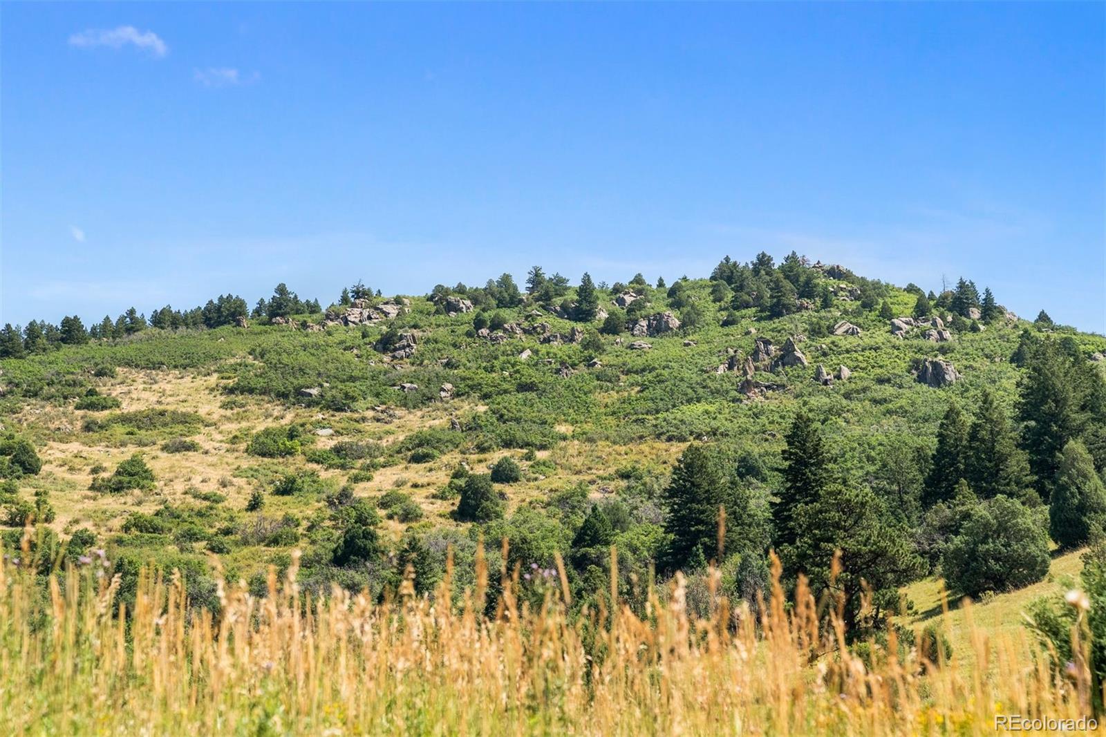 12954 Kuehster Road Littleton CO 80127