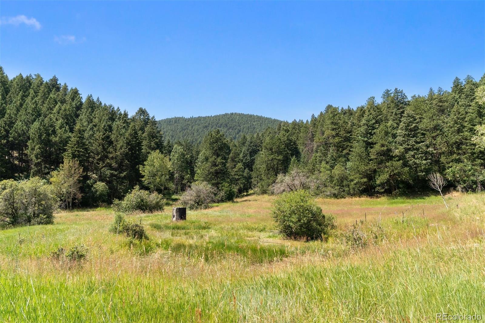 12954 Kuehster Road Littleton CO 80127