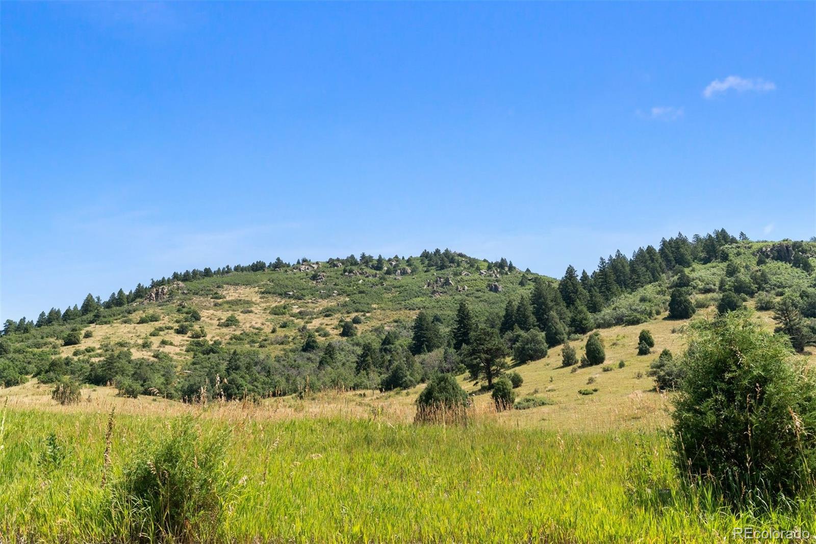 12954 Kuehster Road Littleton CO 80127