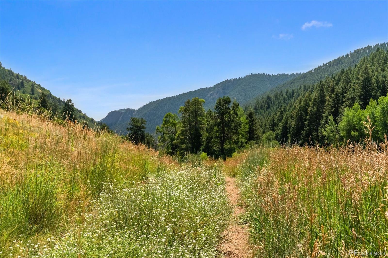 12954 Kuehster Road Littleton CO 80127