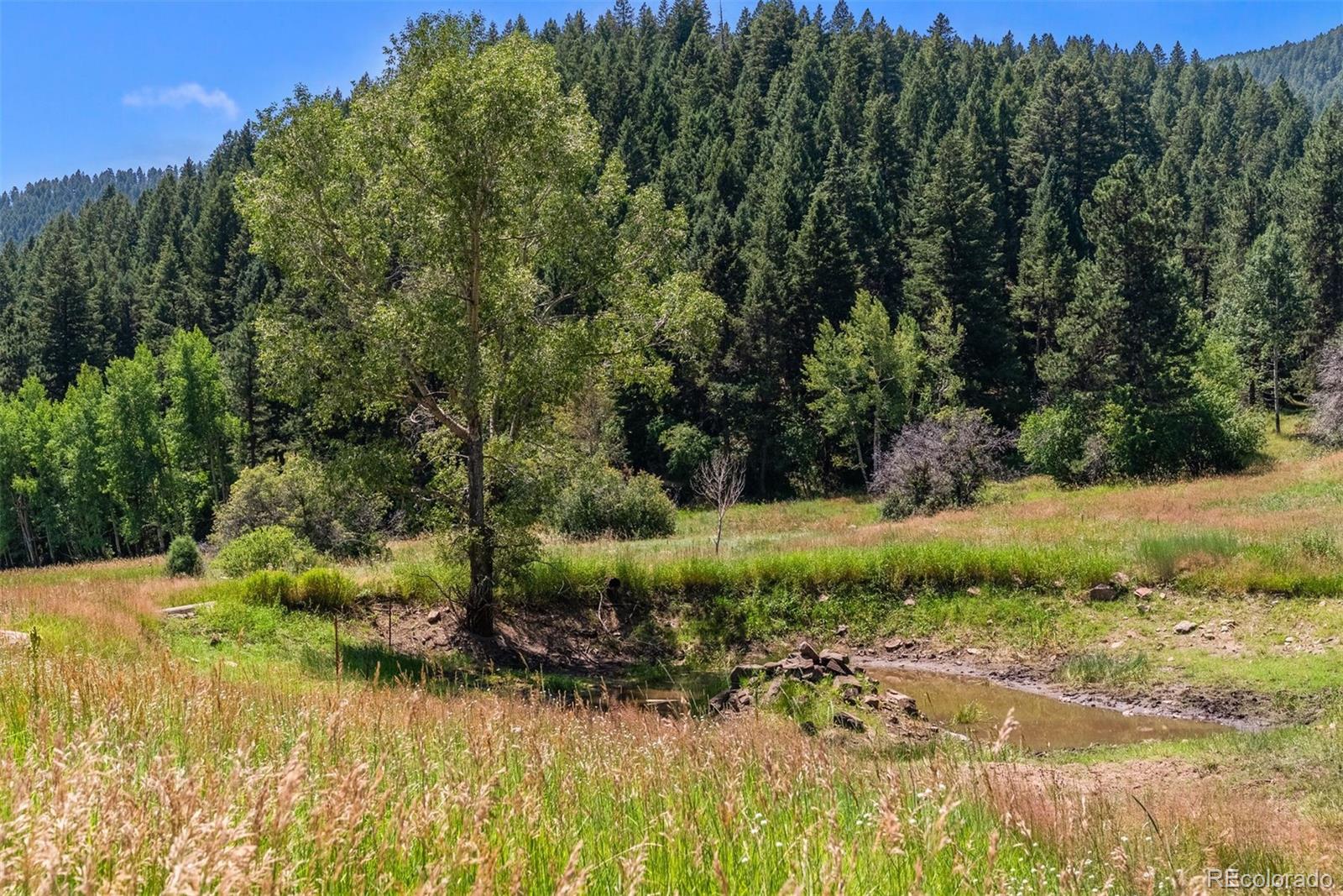 12954 Kuehster Road Littleton CO 80127