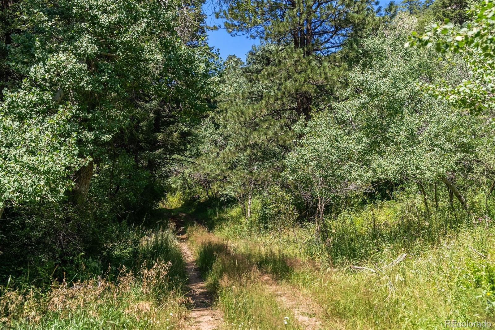 12954 Kuehster Road Littleton CO 80127
