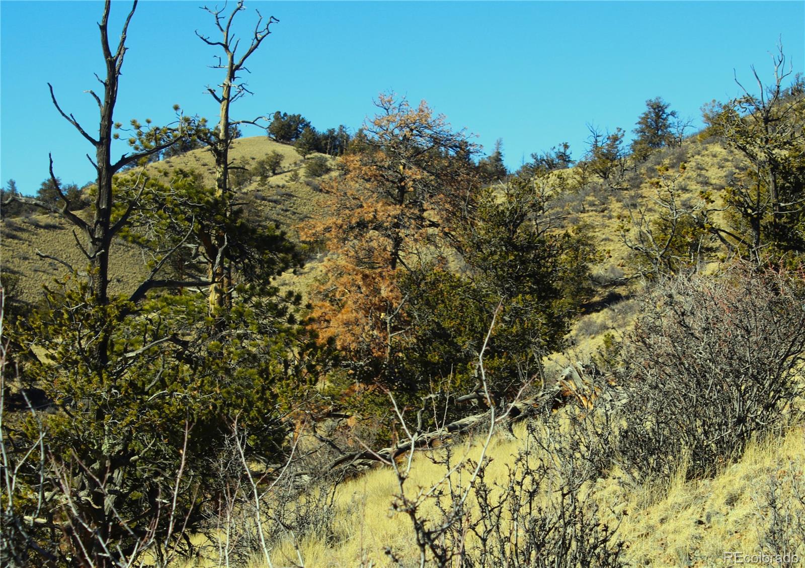 697 Summit Road Hartsel CO 80449