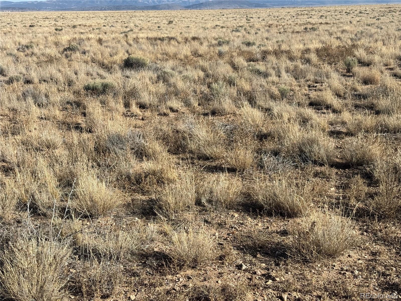 Lots 7 &8 Ash Avenue Blanca CO 81123