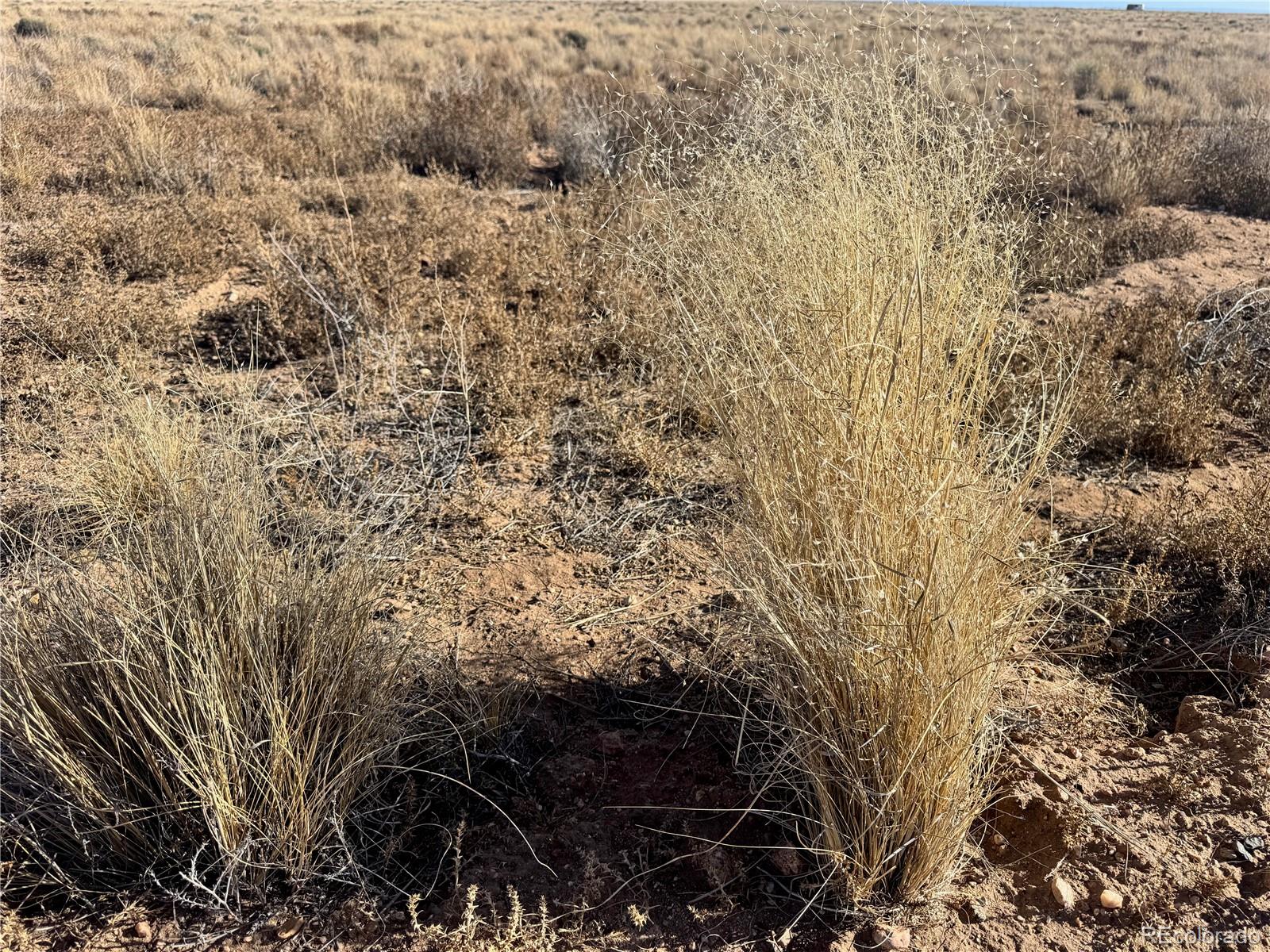 Lots 7 &8 Ash Avenue Blanca CO 81123