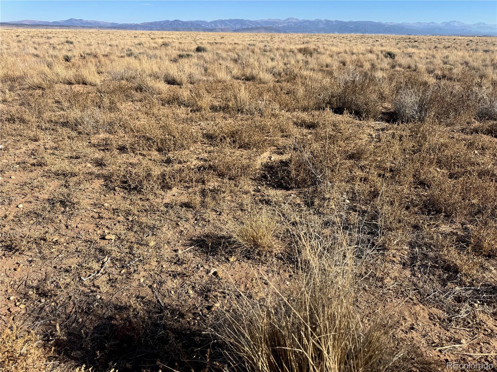 Lots 7 &8 Ash Avenue Blanca CO 81123