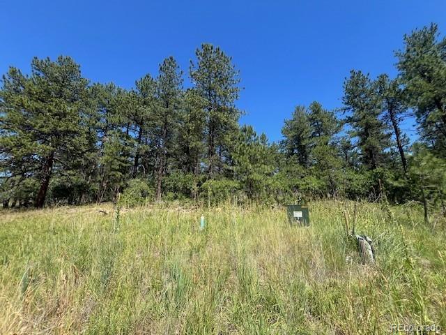 773 Copper Fox Place Larkspur CO 80118
