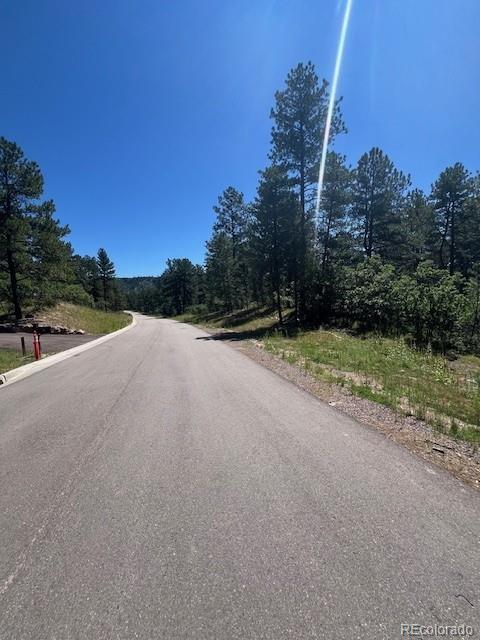 773 Copper Fox Place Larkspur CO 80118