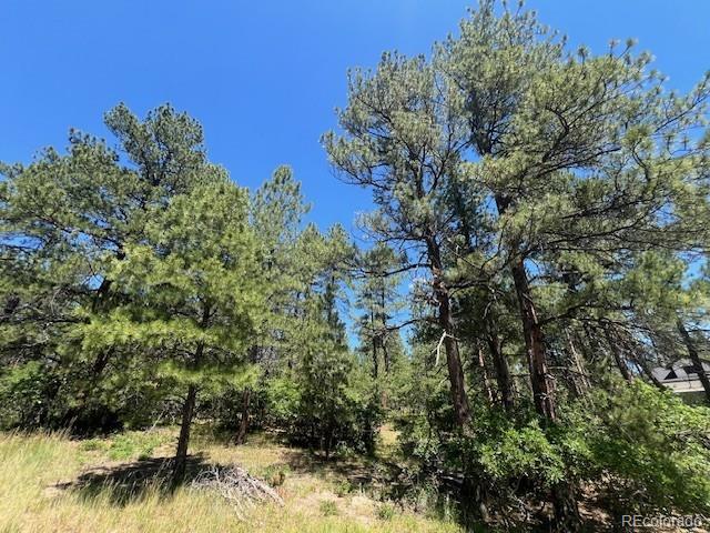 773 Copper Fox Place Larkspur CO 80118