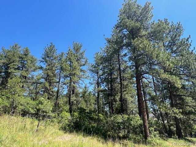 773 Copper Fox Place Larkspur CO 80118