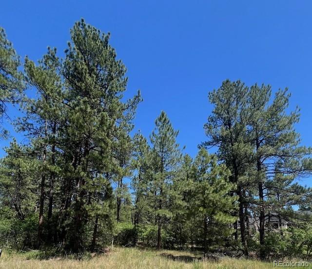 773 Copper Fox Place Larkspur CO 80118