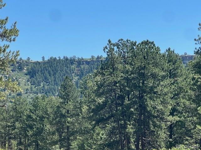 773 Copper Fox Place Larkspur CO 80118