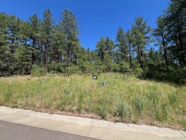 773 Copper Fox Place Larkspur CO 80118
