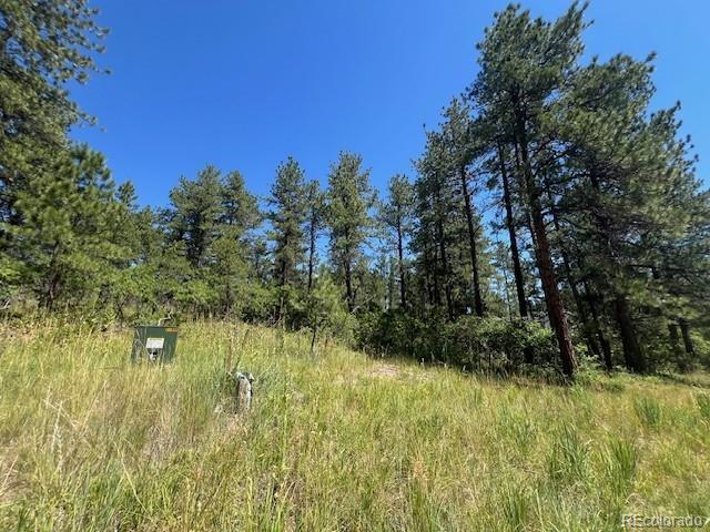 773 Copper Fox Place Larkspur CO 80118