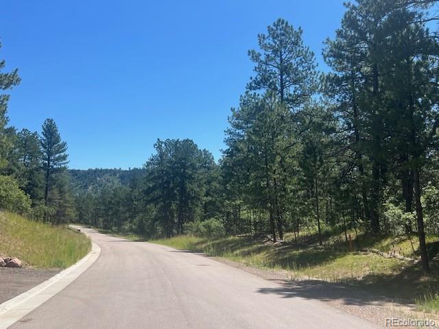 773 Copper Fox Place Larkspur CO 80118