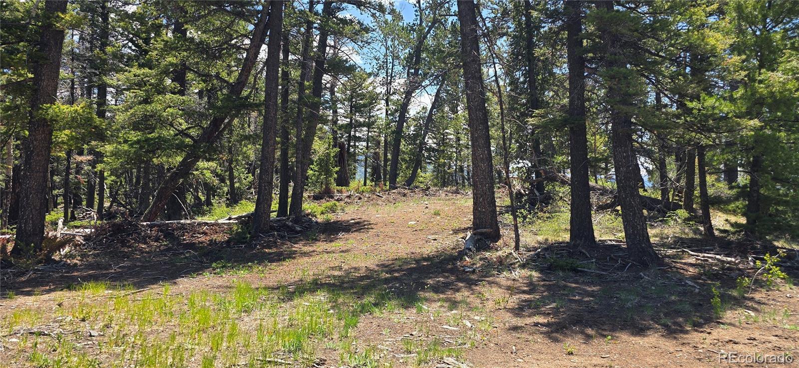 Lot 5546 Balleroy Road Fort Garland CO 81133
