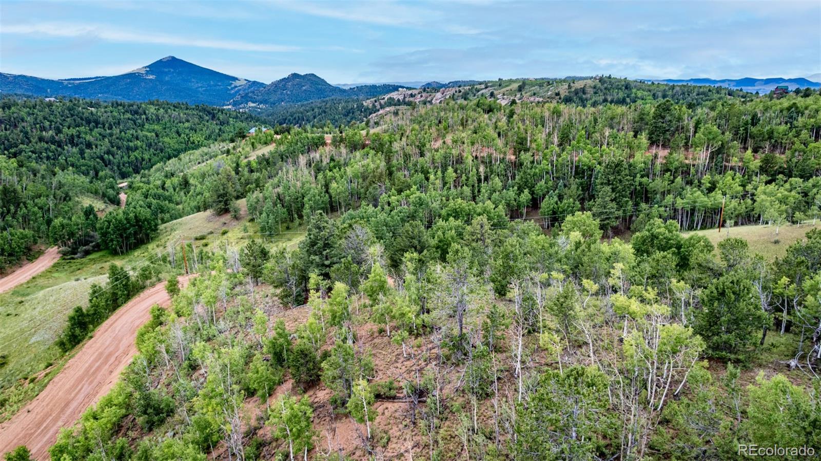 1693 Golden Cycle Circle Cripple Creek CO 80813