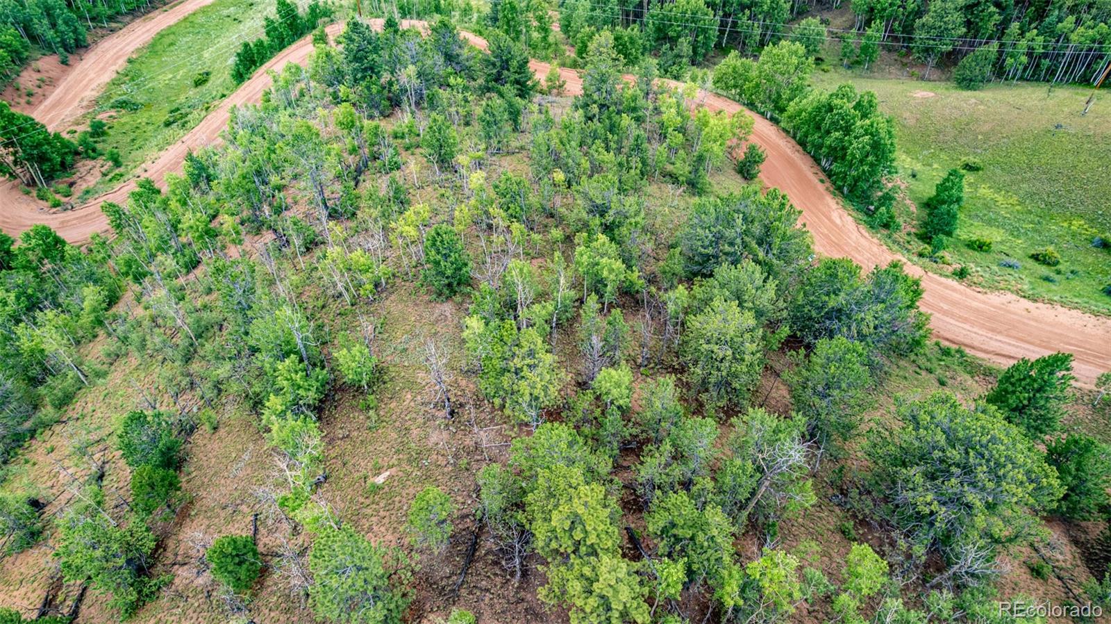 1693 Golden Cycle Circle Cripple Creek CO 80813